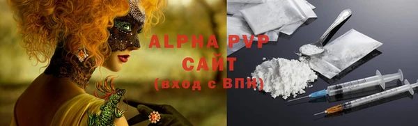 ГАЛЛЮЦИНОГЕННЫЕ ГРИБЫ Покачи
