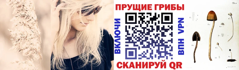 hydra зеркало  наркошоп  Менделеевск  Псилоцибиновые грибы Psilocybine cubensis 