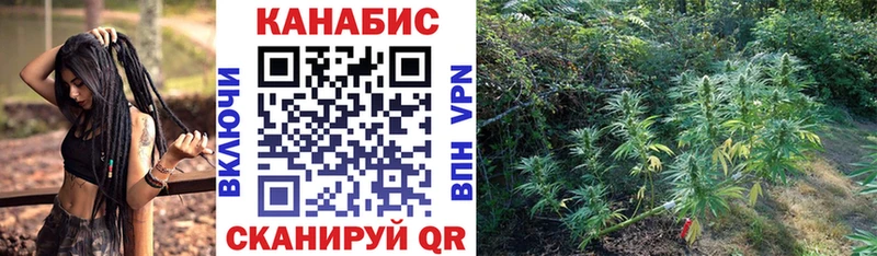 Конопля MAZAR  Менделеевск 